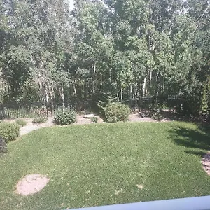 Apartment Spacious One Bedroom Walkout Basement, Calgary