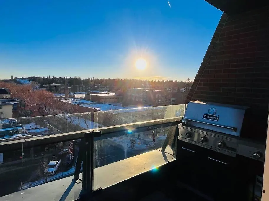 Apartment Sunny Penthouse On 17Th Ave, 1 Bedroom, 1 Loft Bed With Ladder, 1 Sofa Bed, Sleeps 6, Downtown Calgary Canada